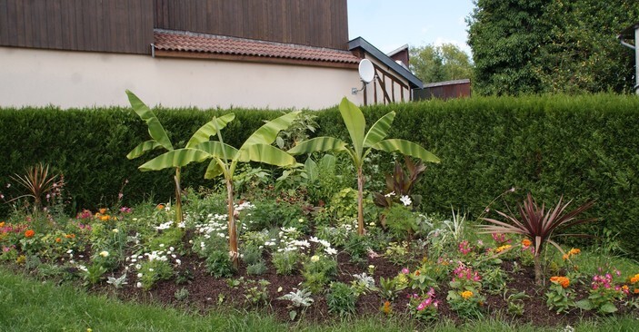 Environnement